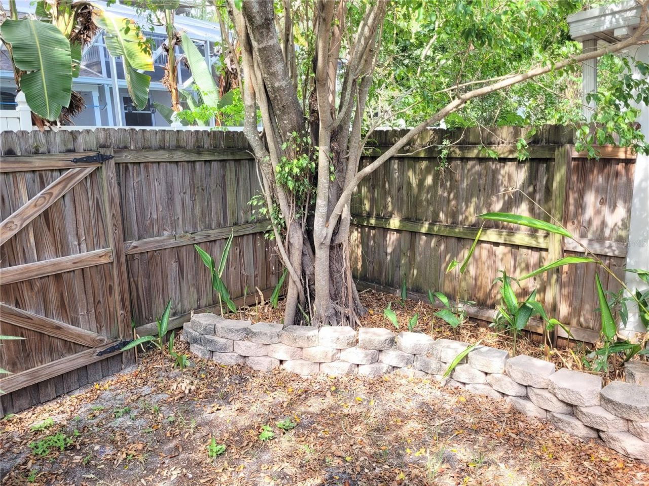 349 Plymouth Street, Safety Harbor, FL 34695 Photo