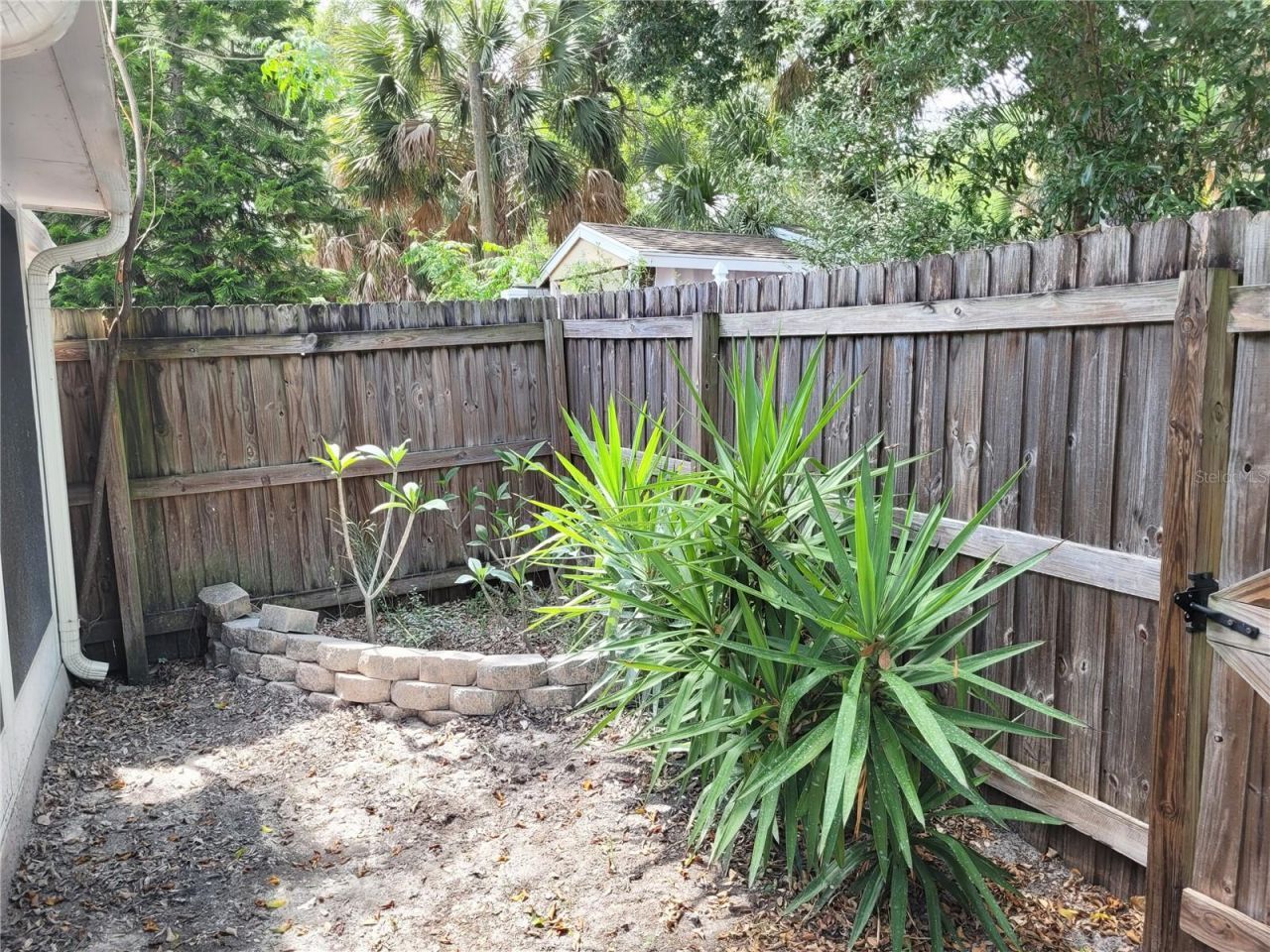 349 Plymouth Street, Safety Harbor, FL 34695 Photo