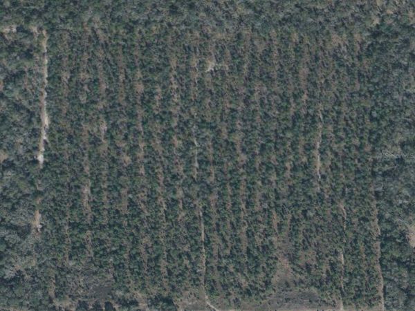 64TH PLACE , LIVE OAK, FL 32060