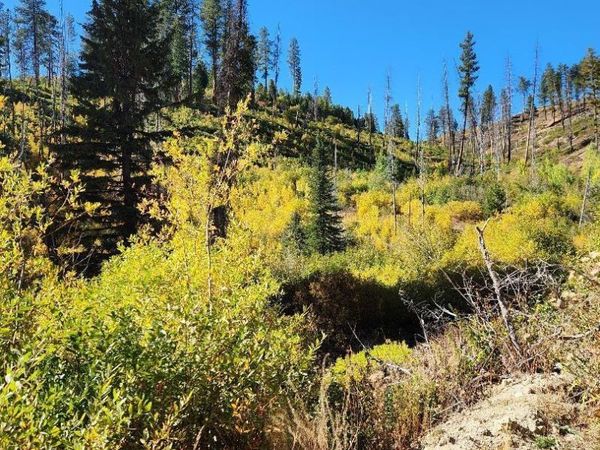 TBD Marsh Creek, Featherville, ID 83647