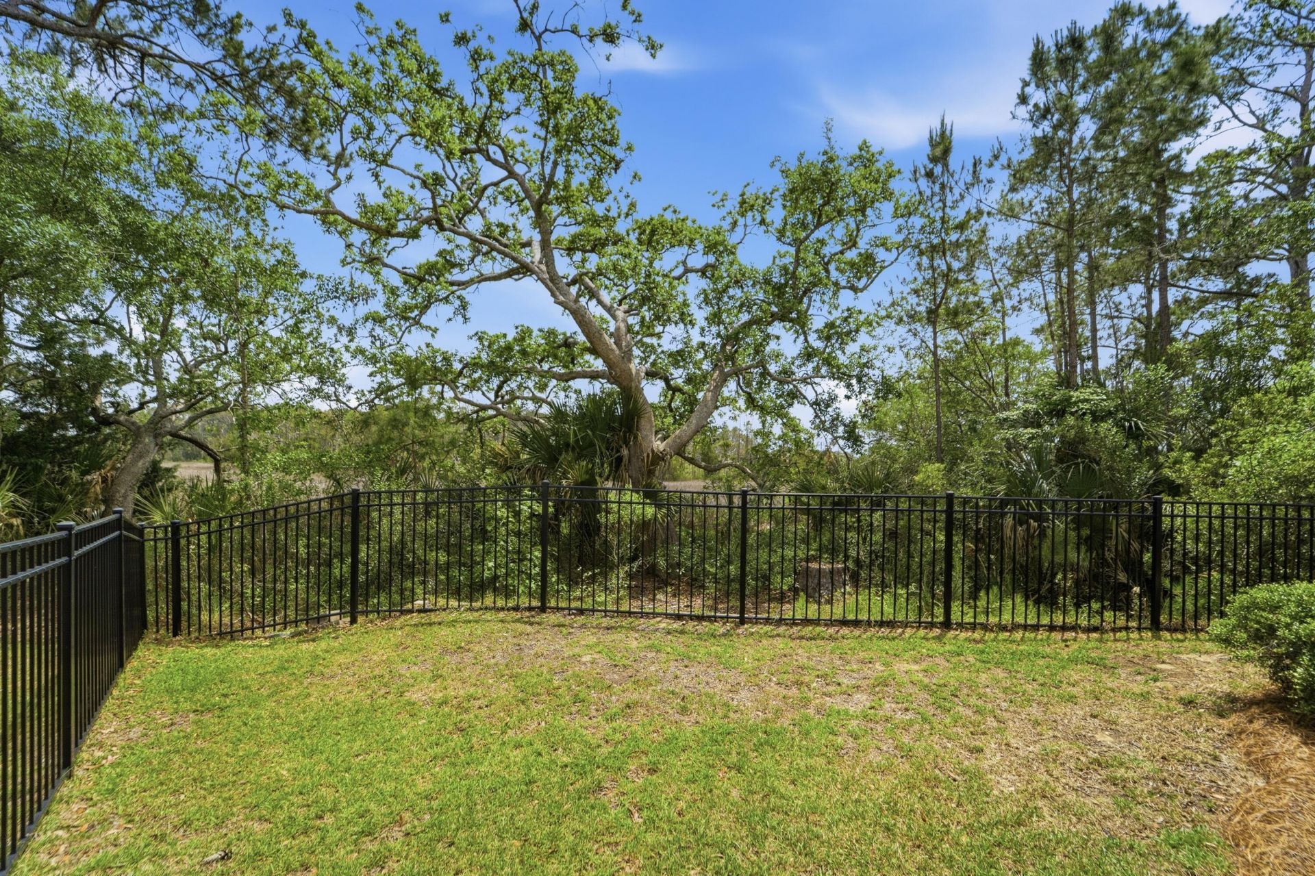 820 Forrest Drive Photo 61