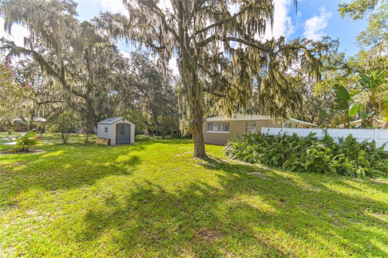 414 Joyce Avenue, Temple Terrace, FL 33617 Photo