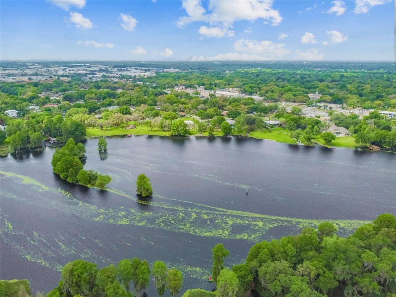 414 Joyce Avenue, Temple Terrace, FL 33617 Photo