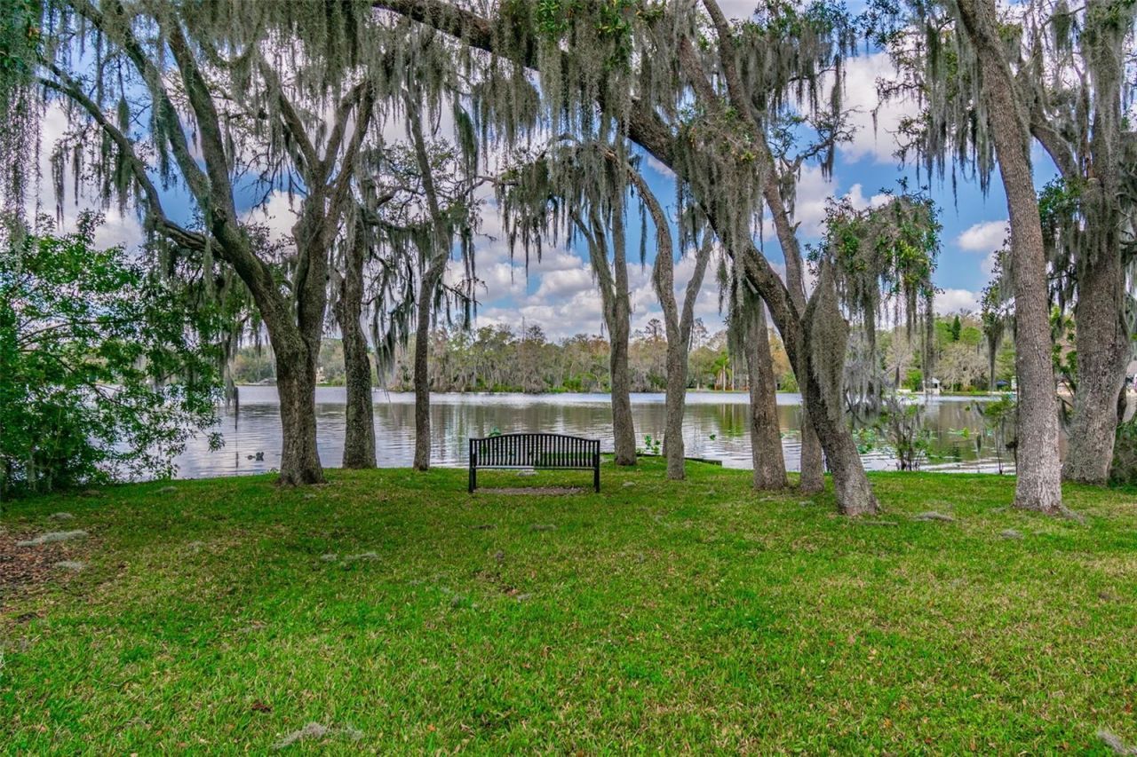 414 Joyce Avenue, Temple Terrace, FL 33617 Photo