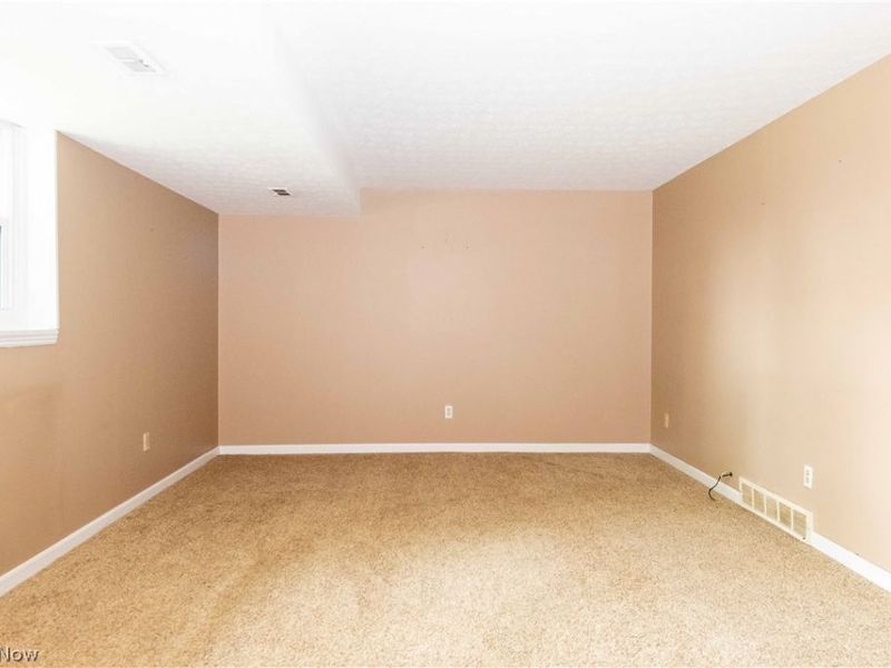 7299 Grant Street, Mentor, OH 44060 Photo 19