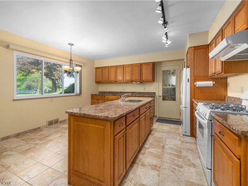 3719 Long, Avon, OH 44011 Photo 20