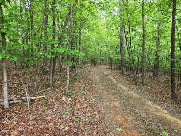 3.5ACRE Dusty Trail, Morganton, GA 30560