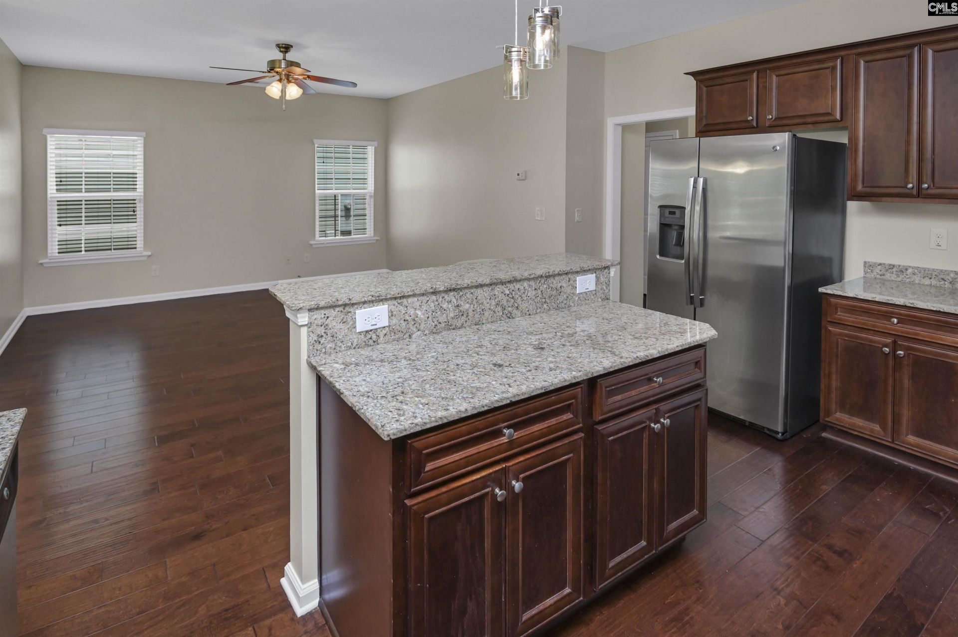 233 Cinnamon Hills Lane  Photo 11