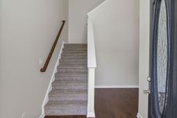 233 Cinnamon Hills Lane  photo 4