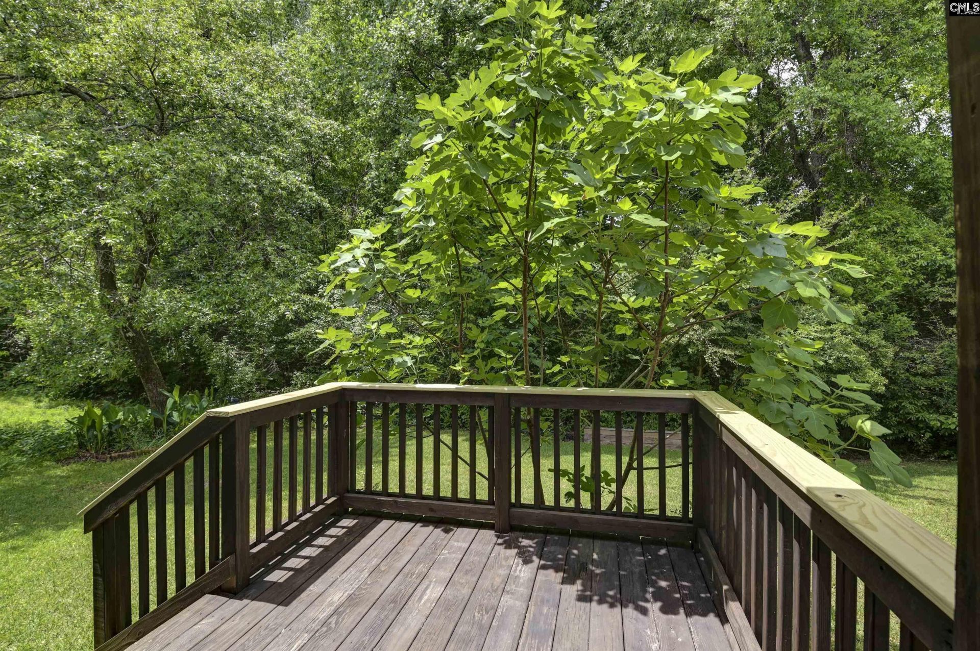 233 Cinnamon Hills Lane  Photo 32