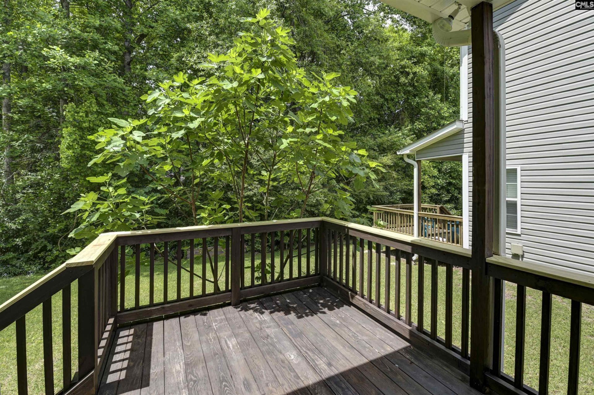 233 Cinnamon Hills Lane  Photo 33