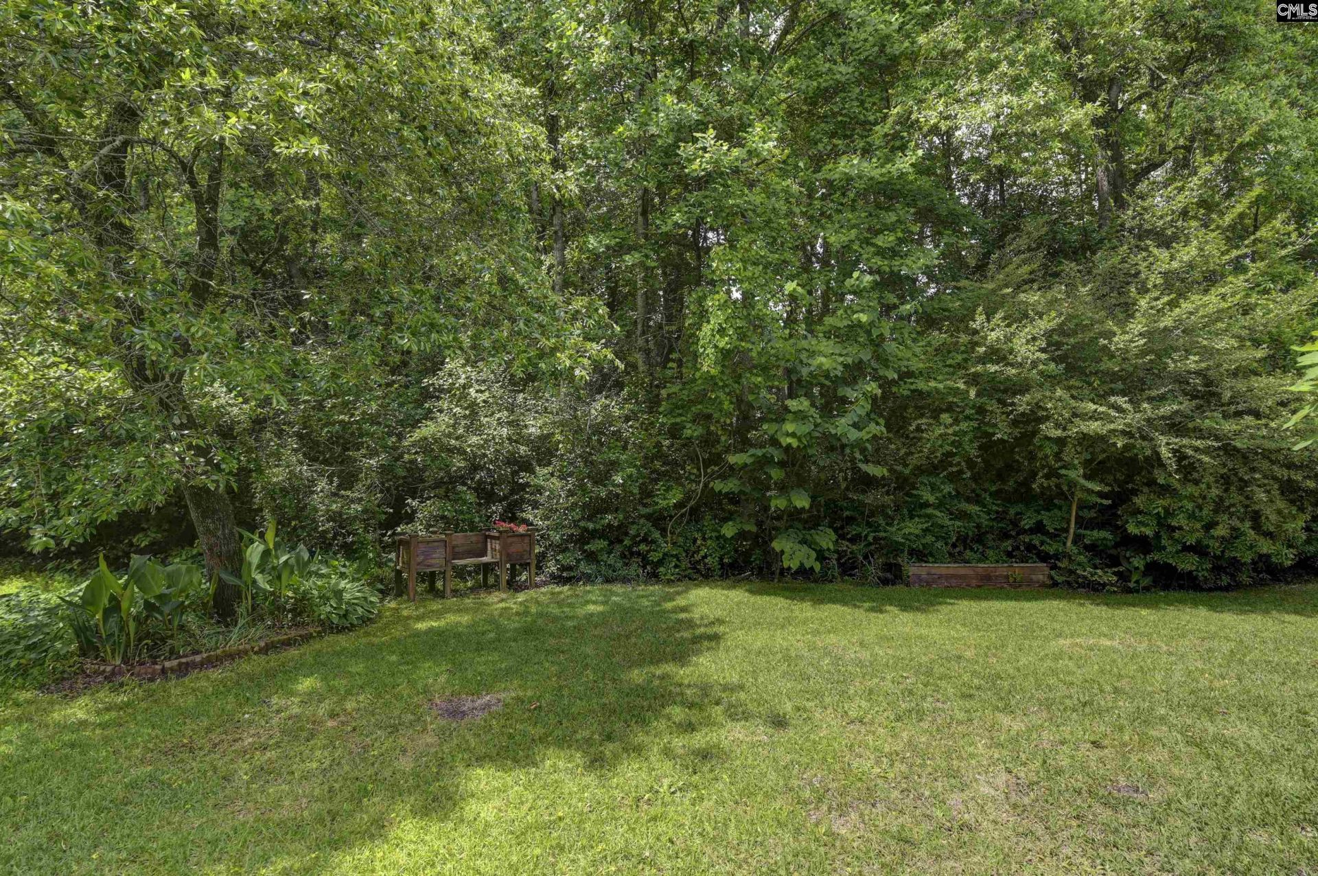 233 Cinnamon Hills Lane  Photo 36