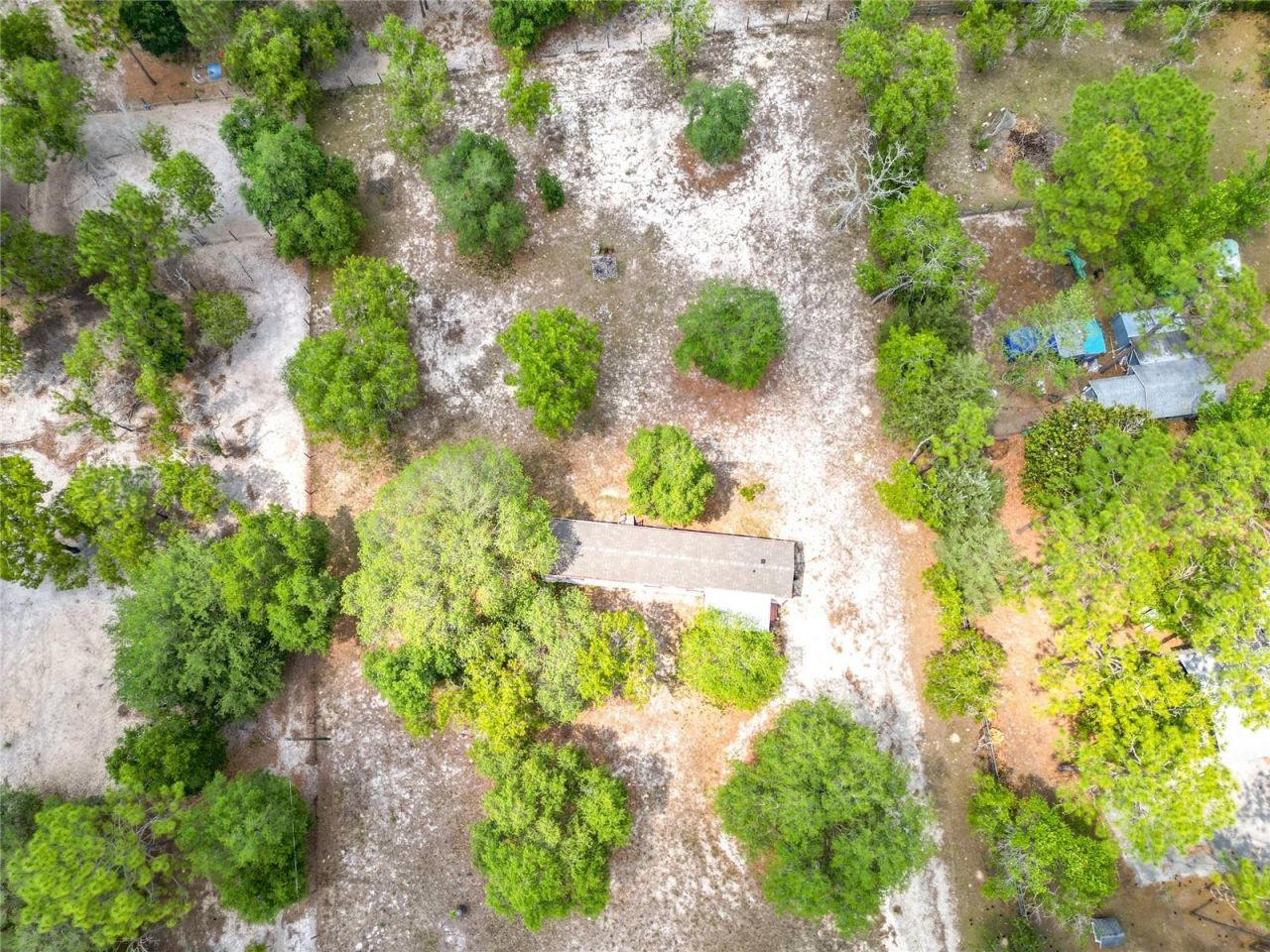 14671 SE 25th Street , Morriston, FL 32668 Photo