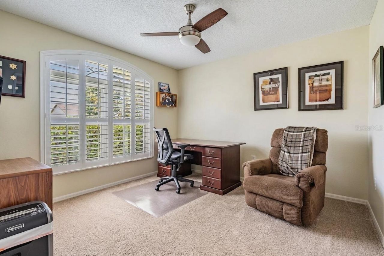 1237 Almondwood Drive, Trinity, FL 34655 Photo
