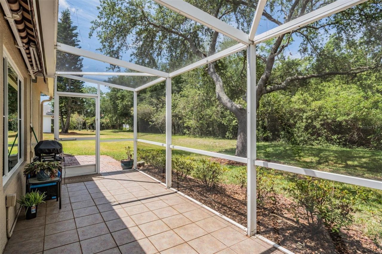 1237 Almondwood Drive, Trinity, FL 34655 Photo