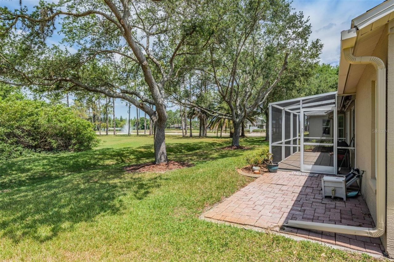1237 Almondwood Drive, Trinity, FL 34655 Photo