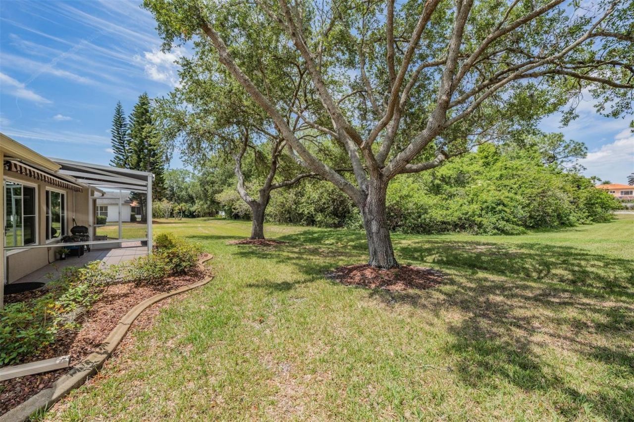 1237 Almondwood Drive, Trinity, FL 34655 Photo