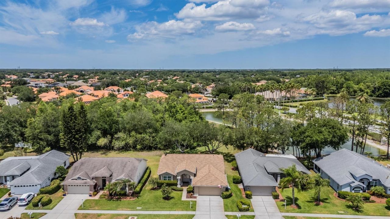 1237 Almondwood Drive, Trinity, FL 34655 Photo