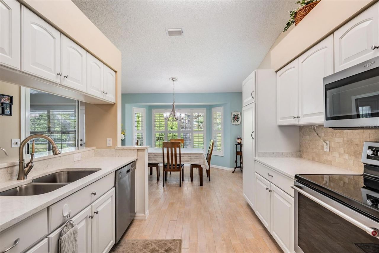 1237 Almondwood Drive, Trinity, FL 34655 Photo