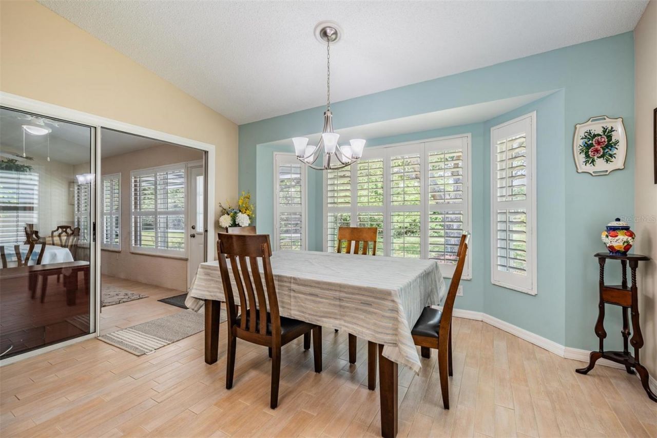 1237 Almondwood Drive, Trinity, FL 34655 Photo