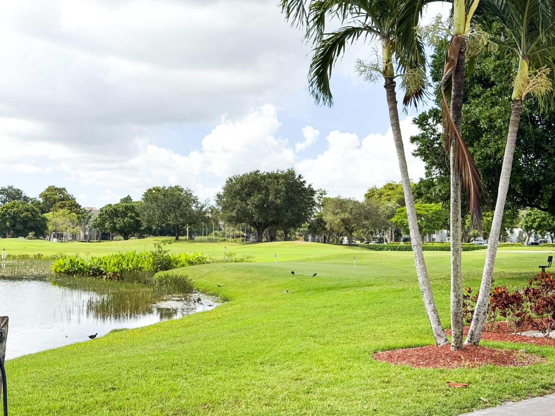 9491 Evergreen Place, Unit 405, Davie, FL 33324 Photo