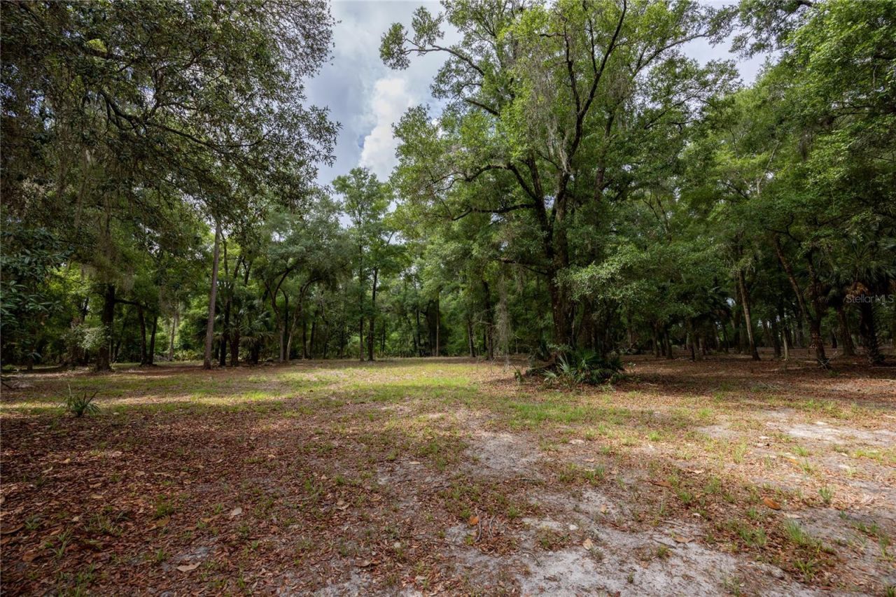 4950 SW 80th Street, Chiefland, FL 32626 Photo