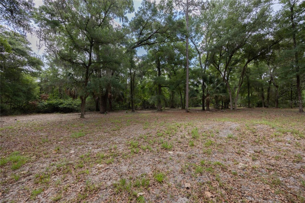 4950 SW 80th Street, Chiefland, FL 32626 Photo
