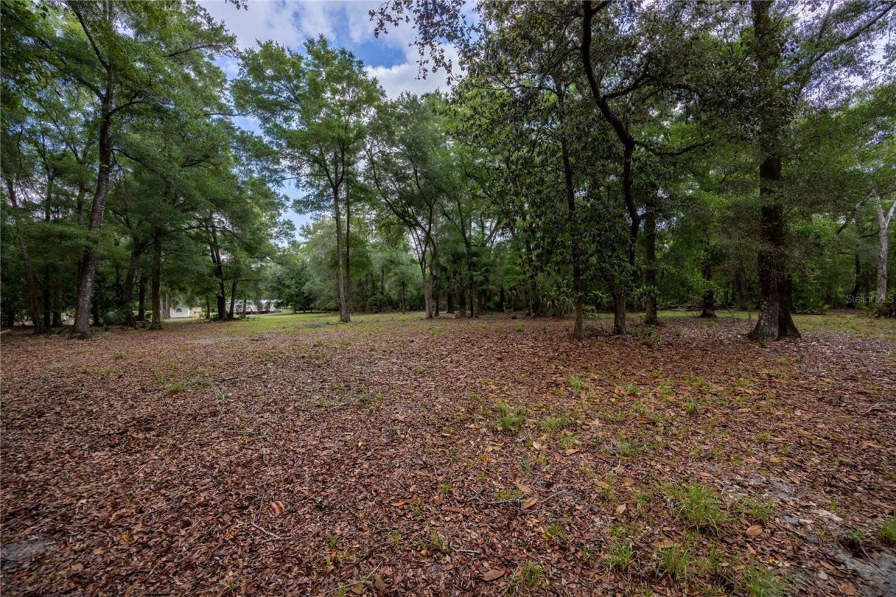 4950 SW 80th Street, Chiefland, FL 32626 Photo