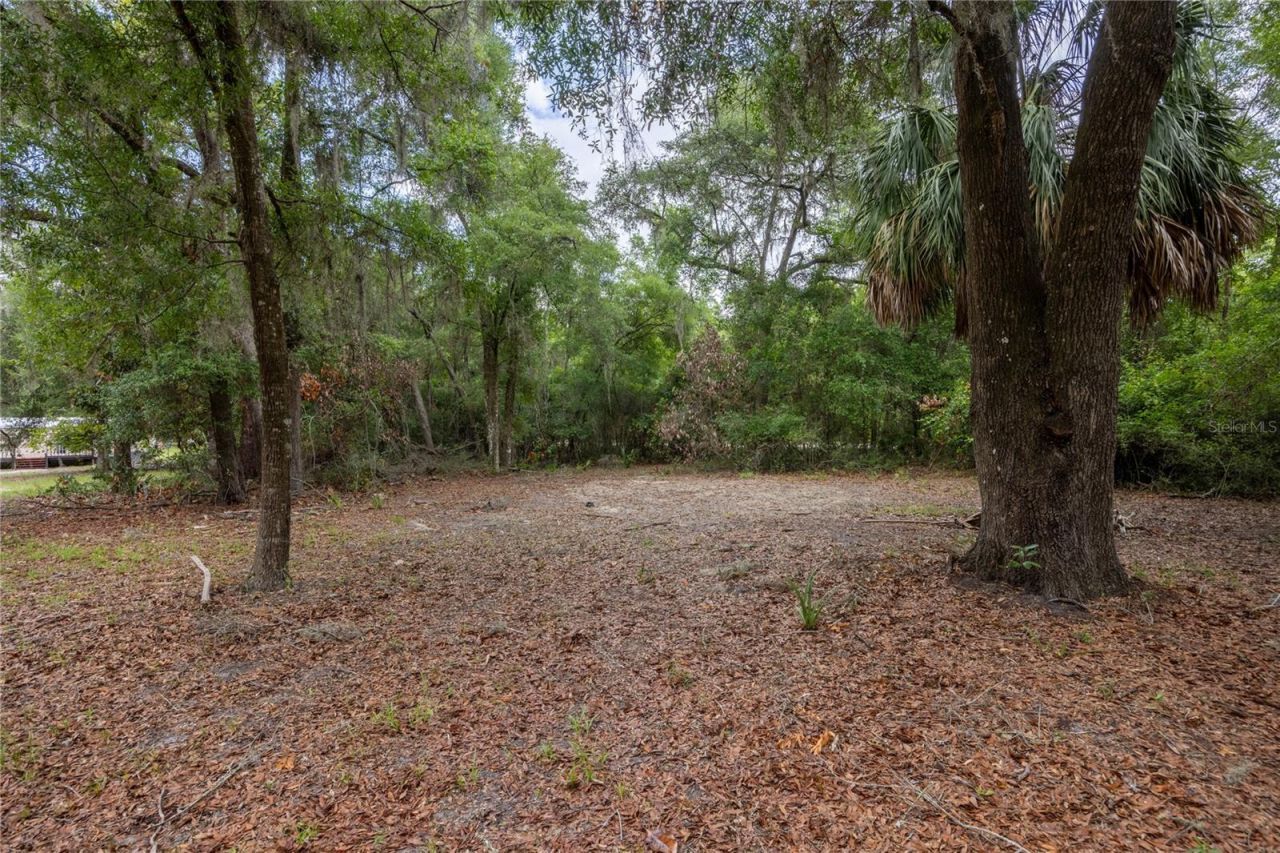 4950 SW 80th Street, Chiefland, FL 32626 Photo