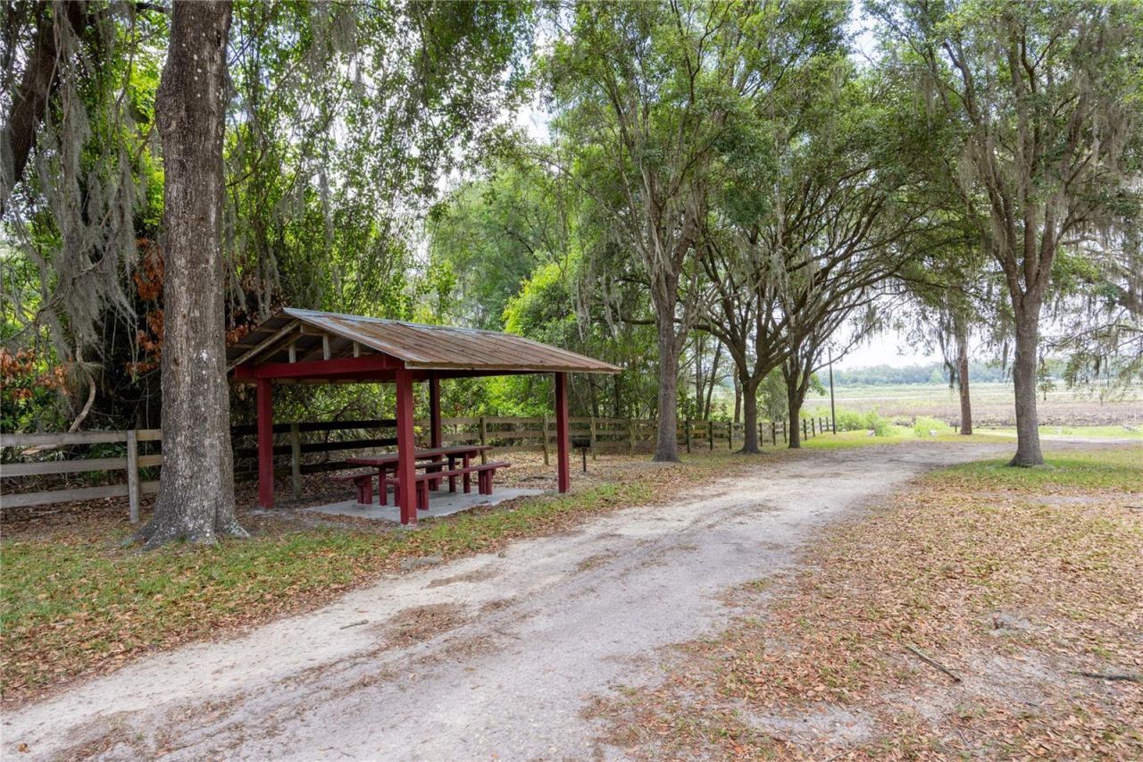 4950 SW 80th Street, Chiefland, FL 32626 Photo
