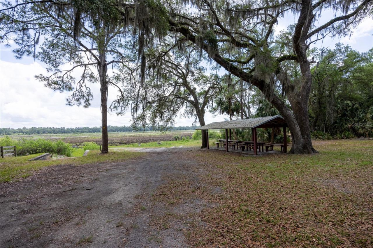 4950 SW 80th Street, Chiefland, FL 32626 Photo