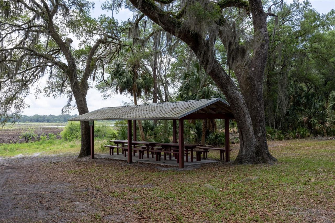 4950 SW 80th Street, Chiefland, FL 32626 Photo