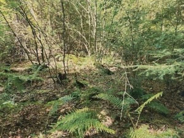 Lot 1 North Hatfield Rd, Hatfield, MA 01038