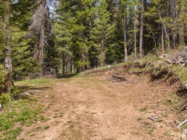 TBD Sellers Creek Road, SHELLEY, ID 83274