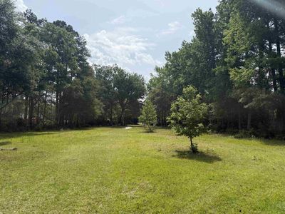 TBD Senior Rd. , Kingstree, SC 29556
