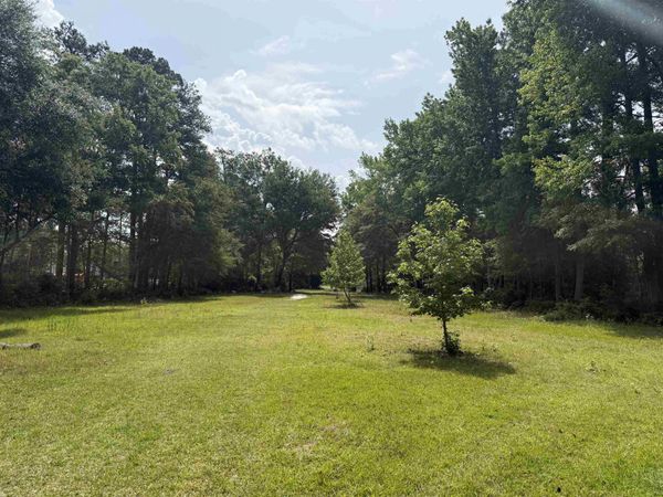 TBD Senior Rd. , Kingstree, SC 29556