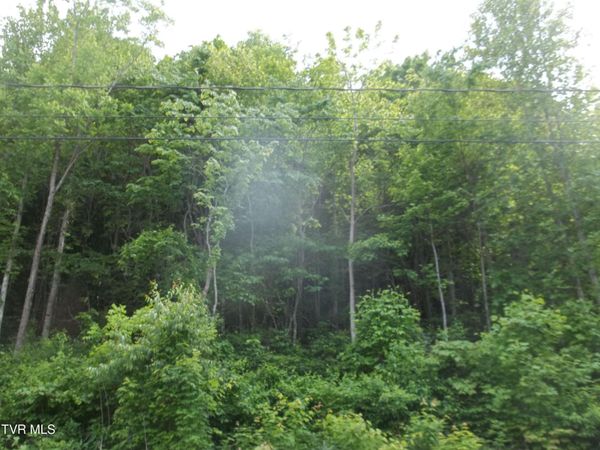 437 Creekside Drive, Mount Carmel, TN 37645