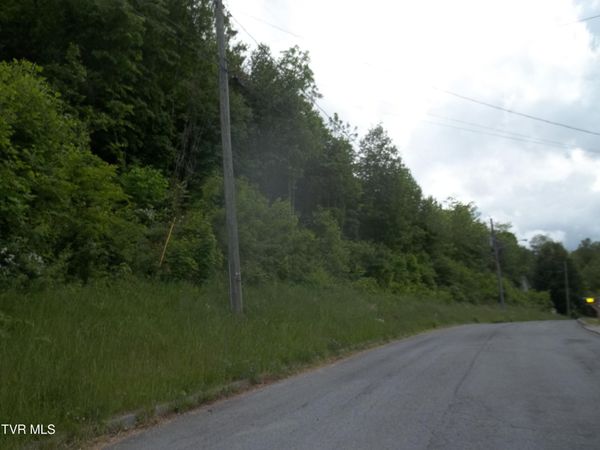 433 Creekside Drive, Mount Carmel, TN 37645