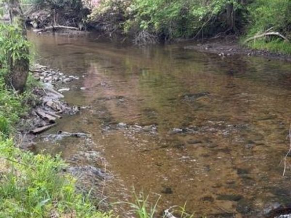TBD Fraser Road , Sparta, NC 28675