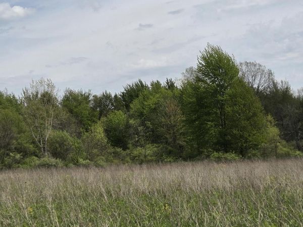V/L M-40 Highway, Paw Paw, MI 49079