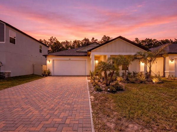 18334 SERENE LAKE LOOP , LUTZ, FL 33548