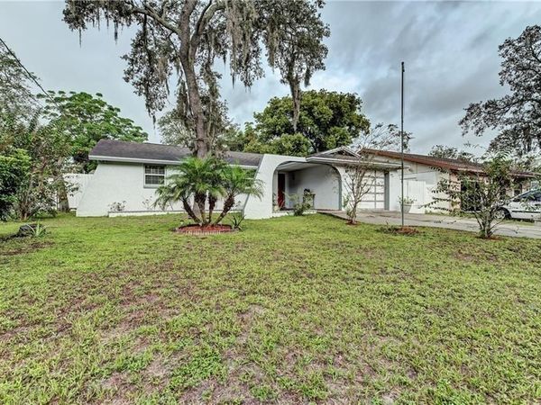 9816 N CONNECHUSETT ROAD , TAMPA, FL 33617