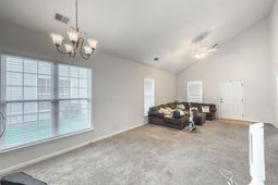 216 Dandelion Street photo 4