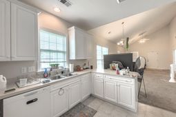 216 Dandelion Street photo 4