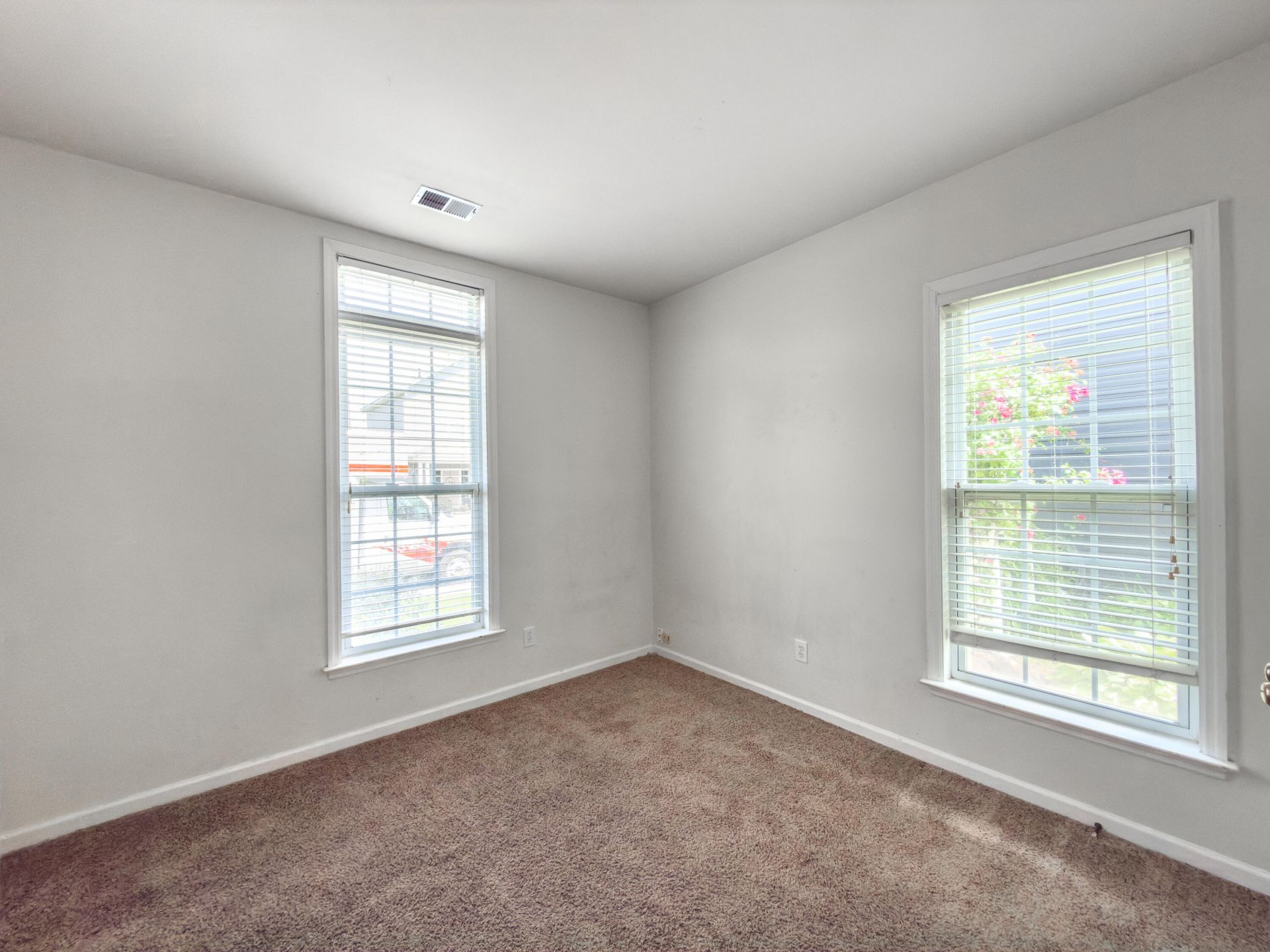 216 Dandelion Street Photo 7
