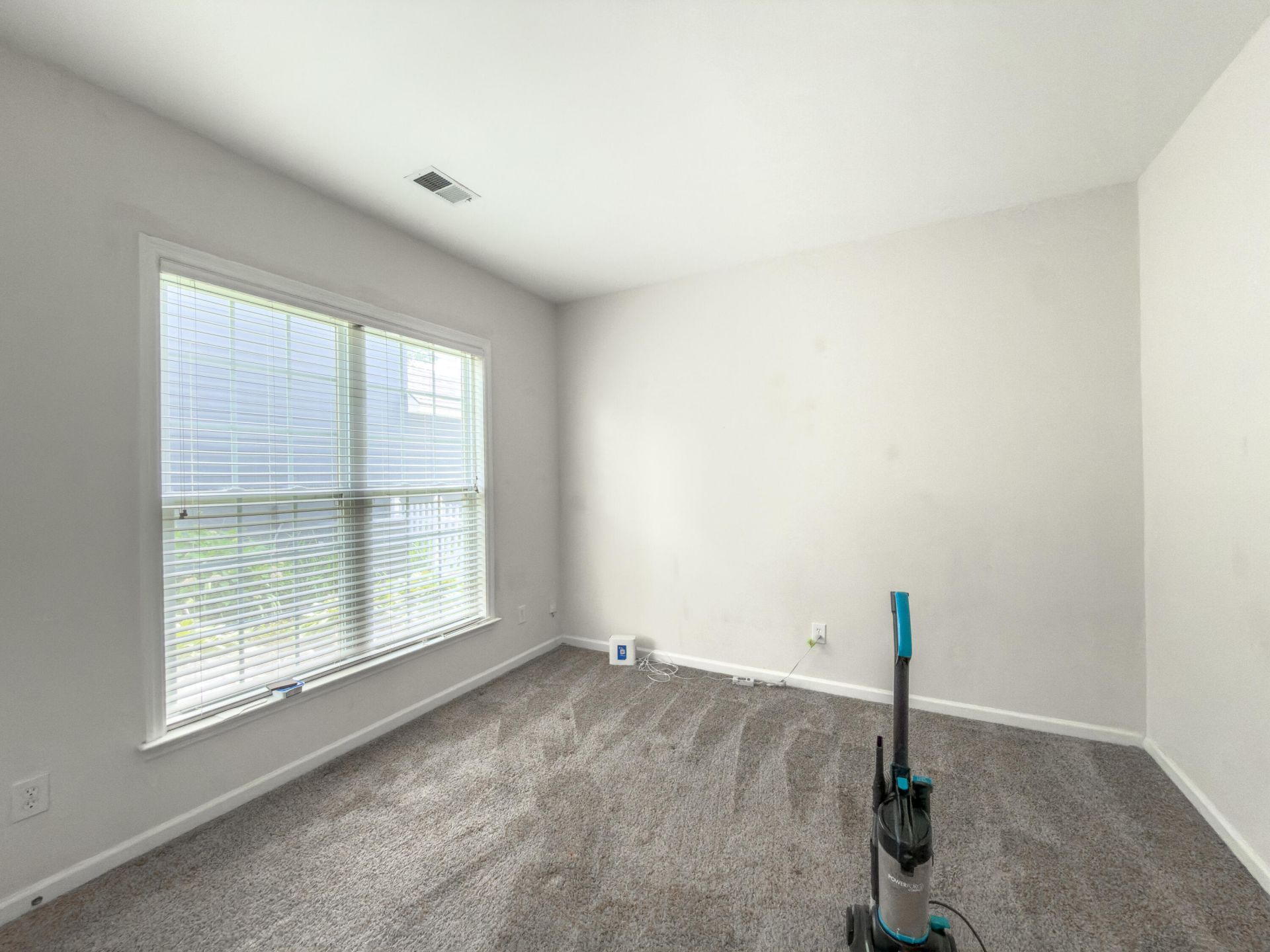 216 Dandelion Street Photo 8