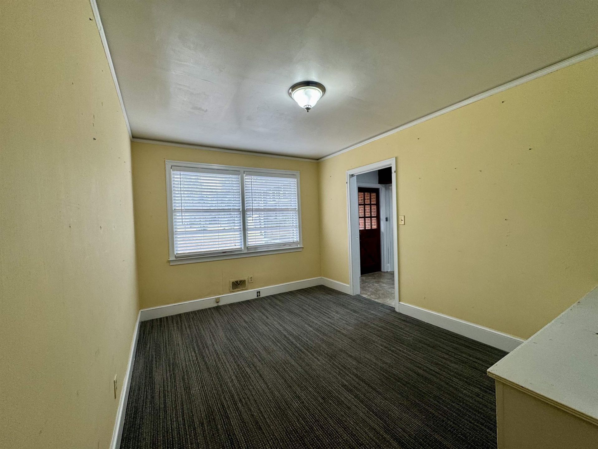 517 Singleton Ave Photo 20