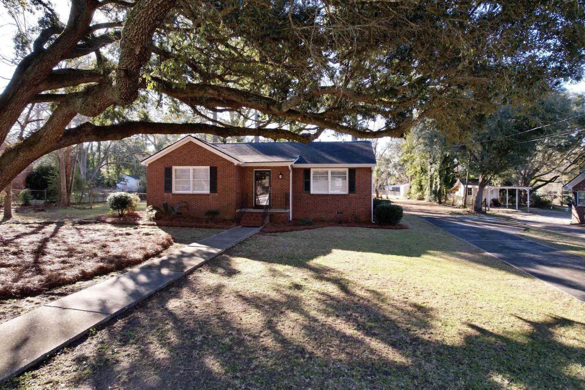 517 Singleton Ave Photo 29