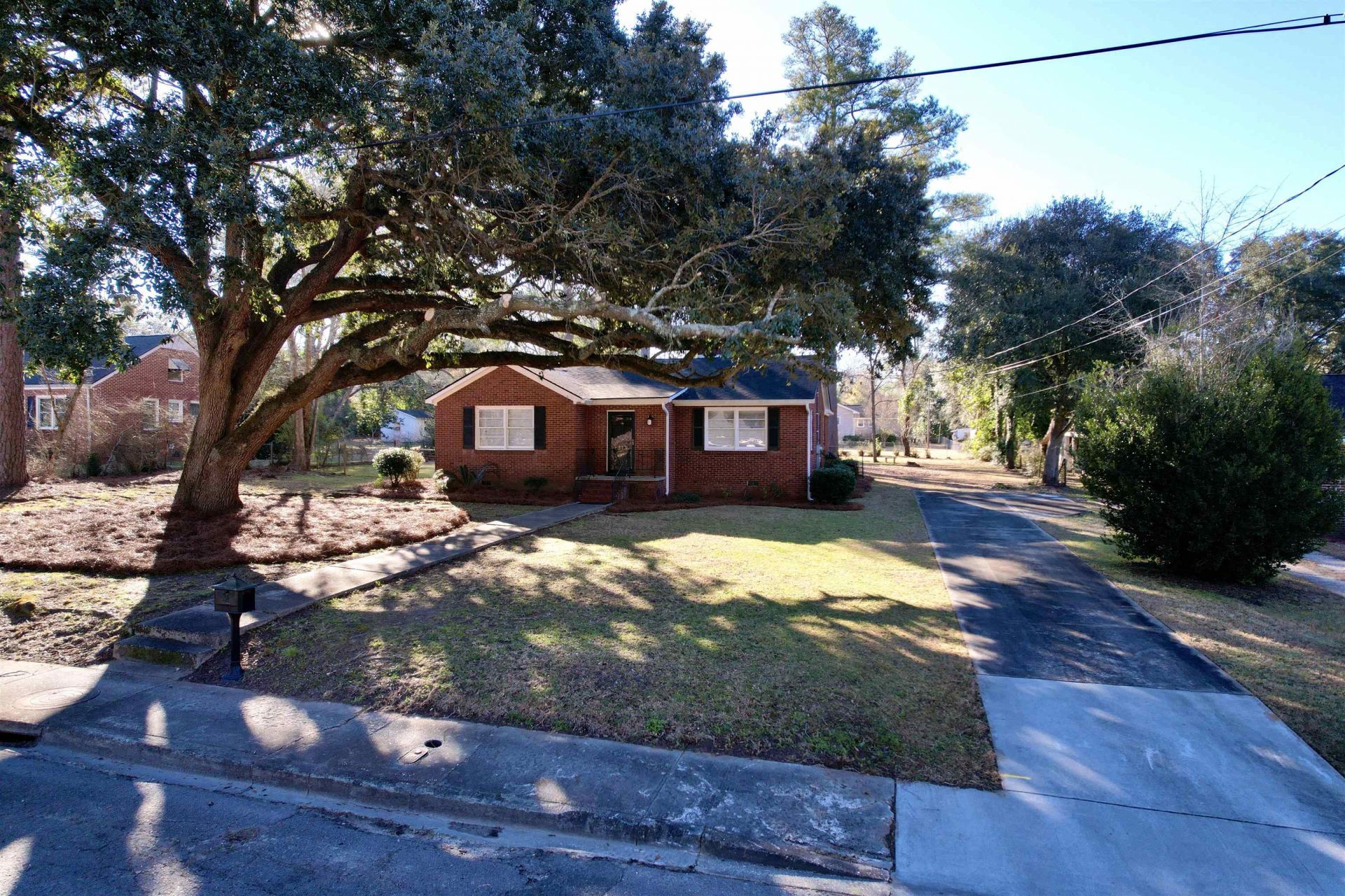 517 Singleton Ave Photo 30