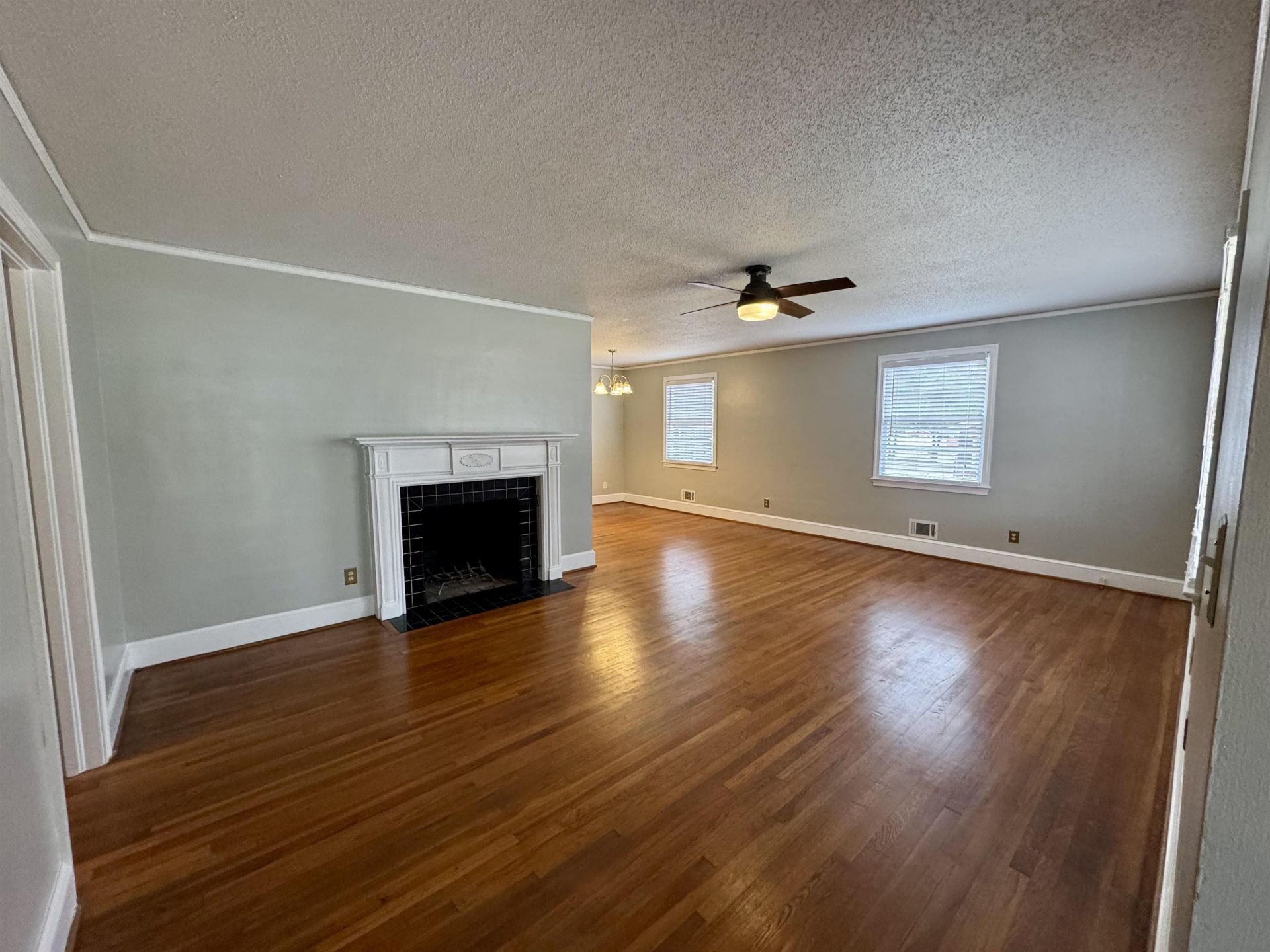 517 Singleton Ave Photo 5